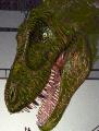 dasplaetosaurus